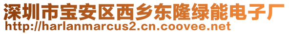 深圳市宝安区西乡东隆绿能电子厂