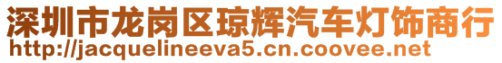 深圳市龍崗區(qū)瓊輝汽車燈飾商行