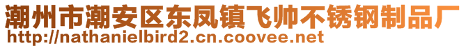 潮州市潮安區東鳳鎮飛帥不銹鋼制品廠