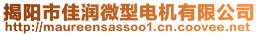 揭陽市佳潤微型電機(jī)有限公司