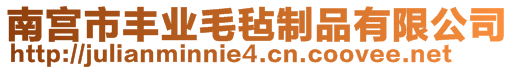 南宮市豐業(yè)毛氈制品有限公司