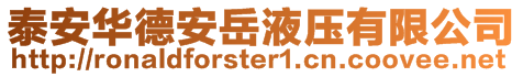 泰安华德安岳液压有限公司