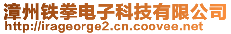 漳州鐵拳電子科技有限公司