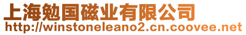 上海勉國磁業(yè)有限公司