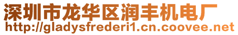 深圳市龍華區潤豐機電廠