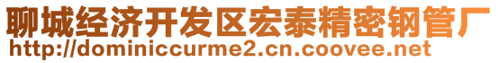 聊城經濟開發區宏泰精密鋼管廠