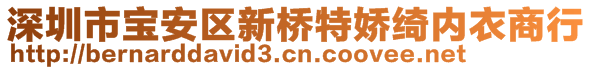 深圳市寶安區(qū)新橋特嬌綺內(nèi)衣商行