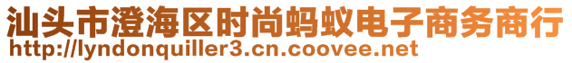 汕頭市澄海區(qū)時尚螞蟻電子商務商行