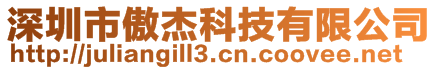 深圳市傲杰科技有限公司