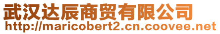 武漢達辰商貿有限公司