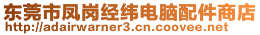 東莞市鳳崗經(jīng)緯電腦配件商店