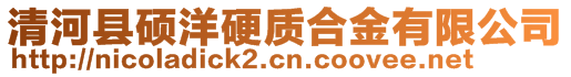 清河縣碩洋硬質合金有限公司
