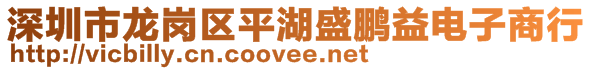 深圳市龙岗区平湖盛鹏益电子商行