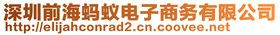 深圳前海蚂蚁电子商务有限公司