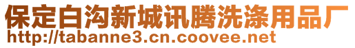 保定白溝新城訊騰洗滌用品廠