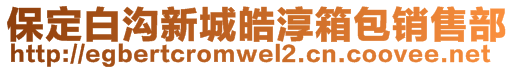 保定白沟新城皓淳箱包销售部