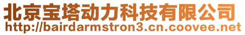 北京寶塔動力科技有限公司