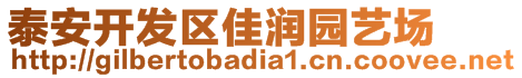 泰安開(kāi)發(fā)區(qū)佳潤(rùn)園藝場(chǎng)