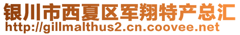 银川市西夏区军翔特产总汇