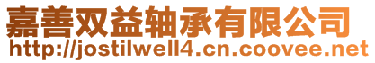 嘉善雙益軸承有限公司