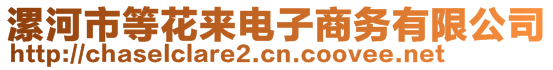 漯河市等花来电子商务有限公司