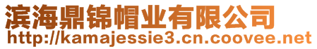 濱海鼎錦帽業(yè)有限公司