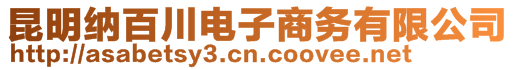 昆明納百川電子商務(wù)有限公司