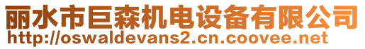 麗水市巨森機(jī)電設(shè)備有限公司