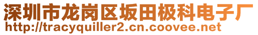 深圳市龍崗區(qū)坂田極科電子廠(chǎng)