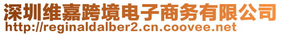 深圳維嘉跨境電子商務(wù)有限公司