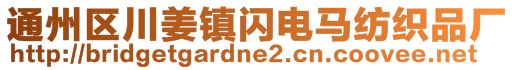 通州區(qū)川姜鎮(zhèn)閃電馬紡織品廠