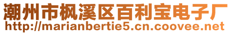 潮州市楓溪區(qū)百利寶電子廠