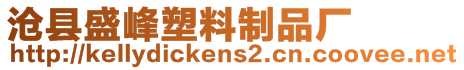 滄縣盛峰塑料制品廠
