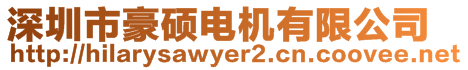 深圳市豪碩電機有限公司