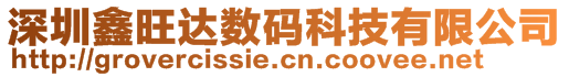 深圳鑫旺達(dá)數(shù)碼科技有限公司