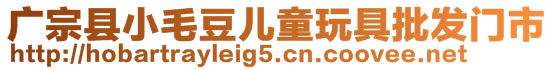 廣宗縣小毛豆兒童玩具批發門市