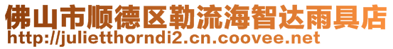 佛山市順德區(qū)勒流海智達雨具店