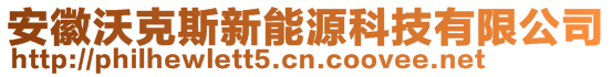 安徽沃克斯新能源科技有限公司