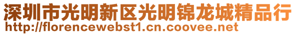 深圳市光明新區(qū)光明錦龍城精品行