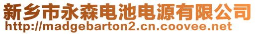 新鄉(xiāng)市永森電池電源有限公司