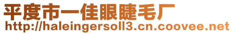 平度市一佳眼睫毛廠