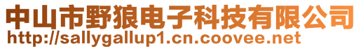 中山市野狼電子科技有限公司
