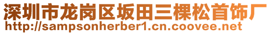 深圳市龙岗区坂田三棵松首饰厂