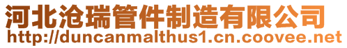 河北滄瑞管件制造有限公司