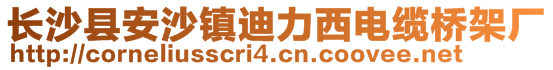 長沙縣安沙鎮(zhèn)迪力西電纜橋架廠