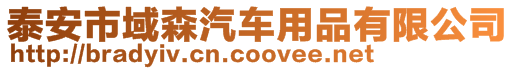 泰安市域森汽車用品有限公司