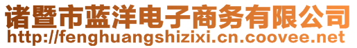 诸暨市蓝洋电子商务有限公司