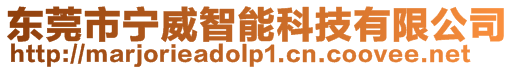 東莞市寧威智能科技有限公司