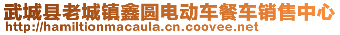 武城縣老城鎮(zhèn)鑫圓電動車餐車銷售中心