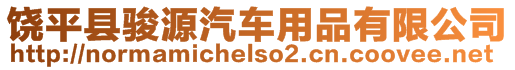 饒平縣駿源汽車用品有限公司